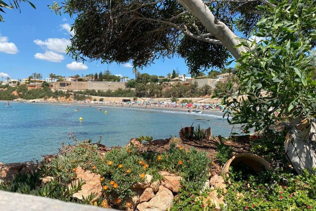 Luxury Penthouse Oasis Beach VIII Orihuela Costa Punta Prima Торевьиа Экстерьер фото